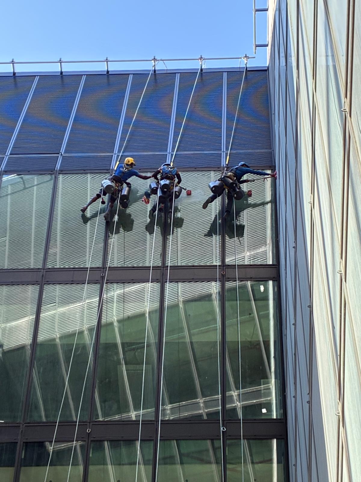 Vertical Sieves